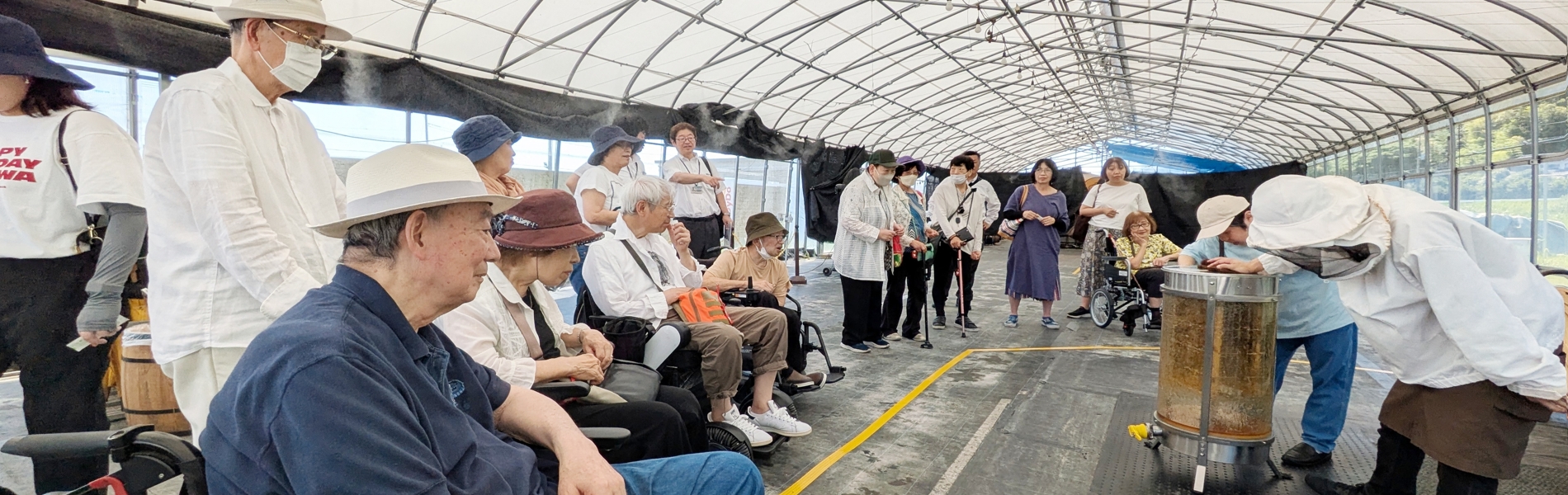 PXL_20250617_050241717.MP~21 1900 600